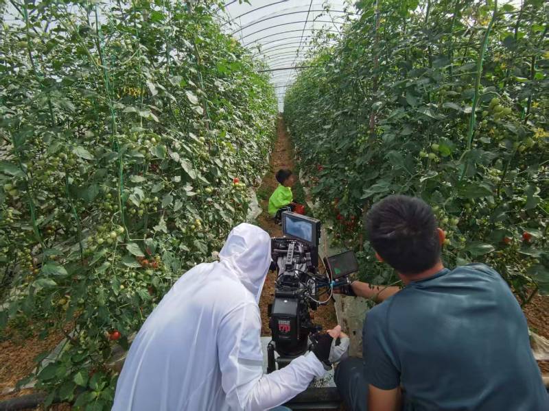 青浦区产品宣传视频拍摄公司进阶指南，助力品牌抢占传播高地